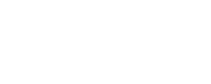 NF-Logo-Web